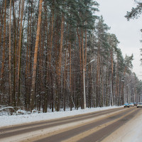 окружающее