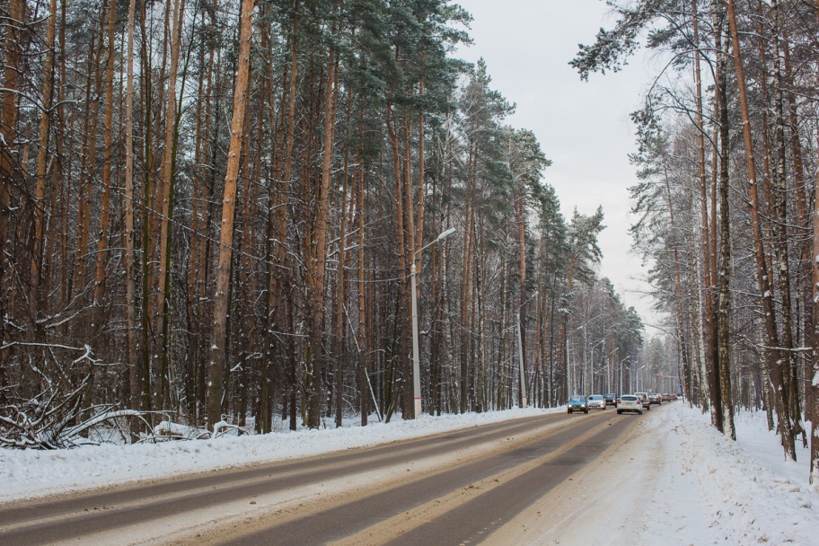 зима: Русская зима, русский лес, русская дорога в России