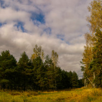 окружающее