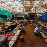 путешествия