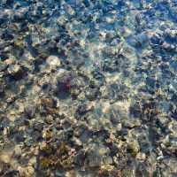 путешествия