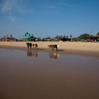 окружающее